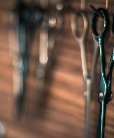 © Nick Demou | pexels.com
