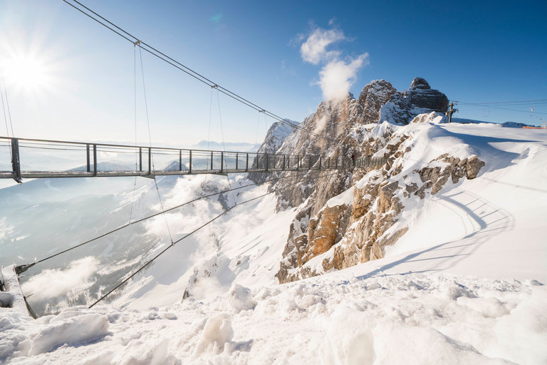 Suspension bridge - Imprese #2.3 | © David McConaghy
