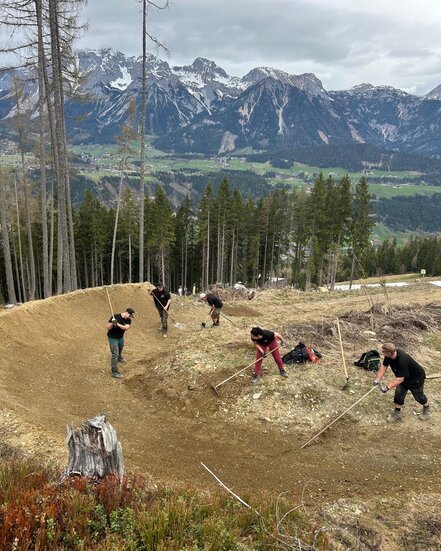 Shapecrew 2025 bei der Arbeit | © Mario Sieder