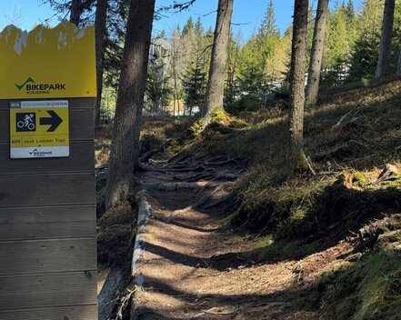 Jack Lumber Trail 409 | © Birgit Walcher