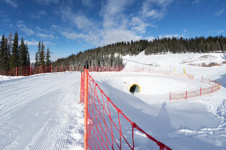 Planai Funslope - Impression #2.8 | © Katja Pokorn