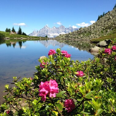 © Reiteralm Bergbahnen