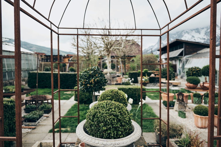 Florist´s Pranzl - Imprese #2.4 | © Armin Walcher