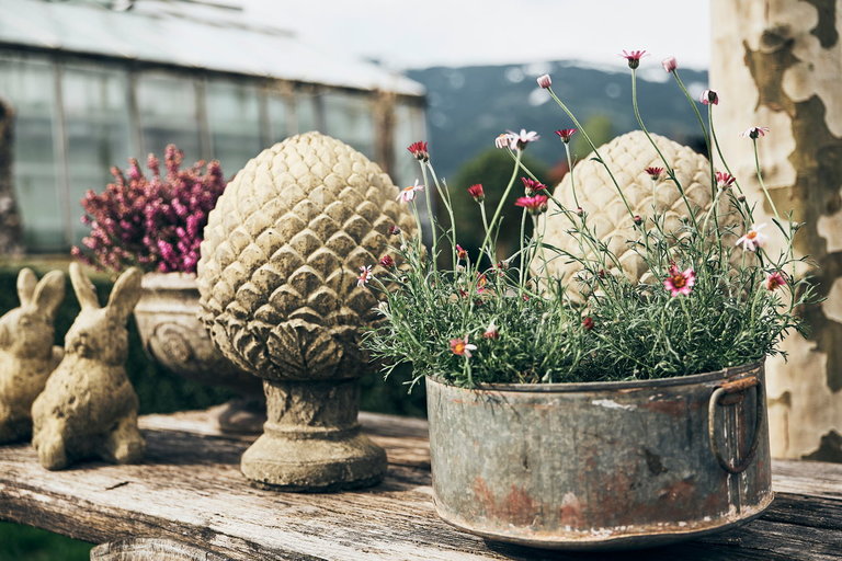 Florist´s Pranzl - Imprese #2.3 | © Armin Walcher