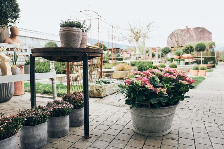 Florist´s Pranzl - Imprese #2.6 | © Armin Walcher