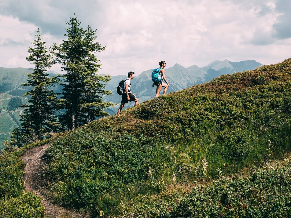 Information office Donnersbachwald - Imprese #1 | © Armin Walcher
