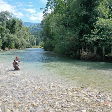 Fischen in der Enns | © Fischereiverein Irdning