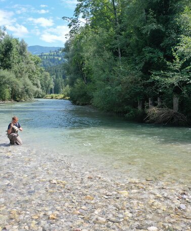 Fischen in der Enns | © Fischereiverein Irdning