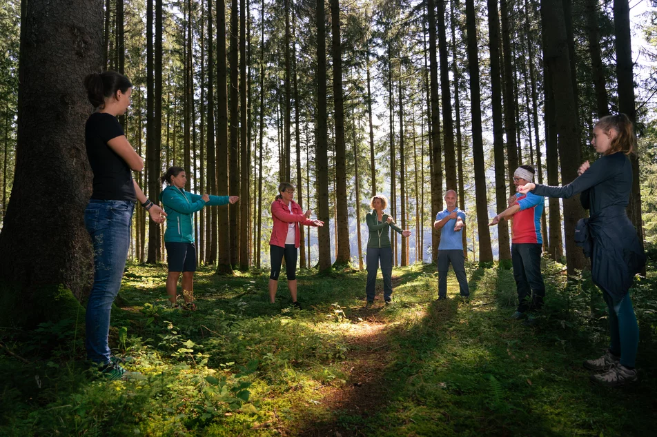 Forest bathing - Imprese #1 | © TV Grimming-Donnersbachtal/Christoph Lukas