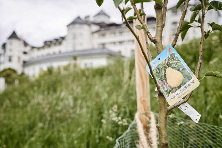 IMLAUER Schloss Hotel Pichlarn | © Thomas Sattler