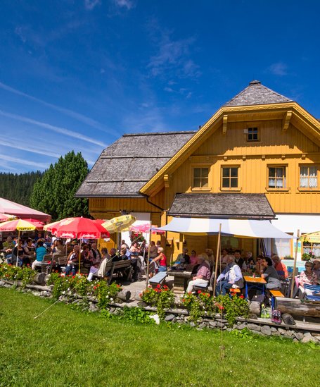 © Ewis-Hütte