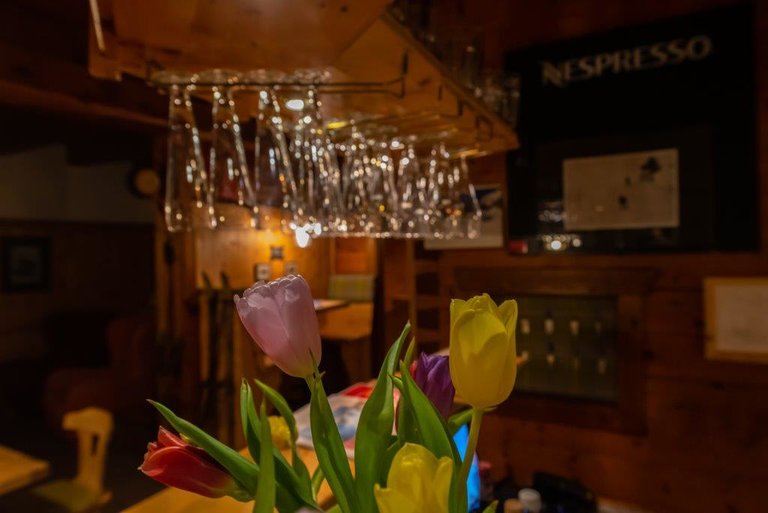 Restaurant-Schihütte STEER - Impression #2.2