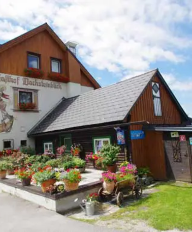 Gasthof Dachsteinblick | © Gasthof Dachsteinblick