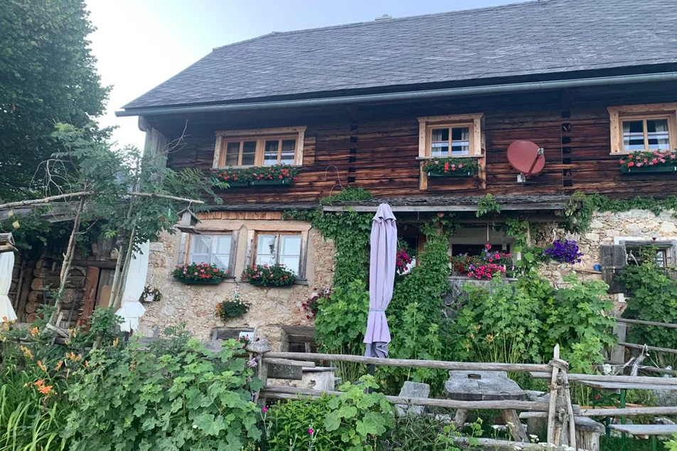 Oberkogler-Alm - Impression #1