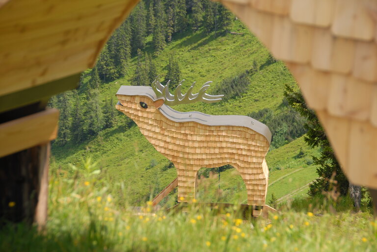 Tierholzpark Riesneralm | © Erwin Petz