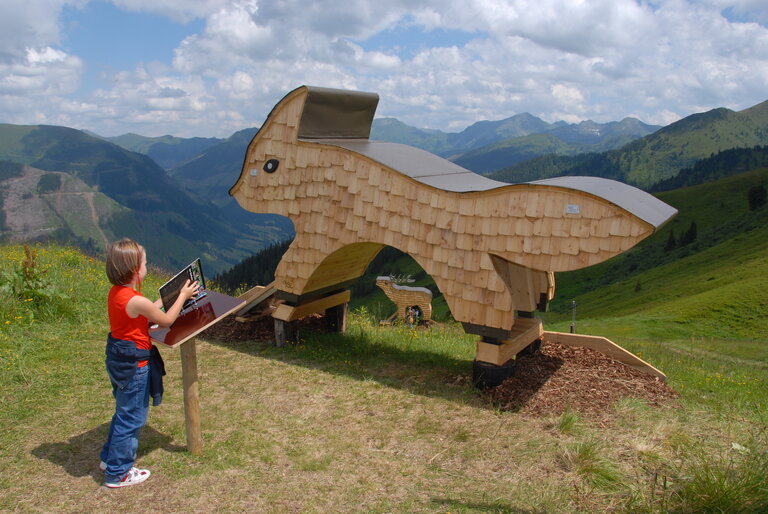 Tierholzpark Riesneralm | © Erwin Petz