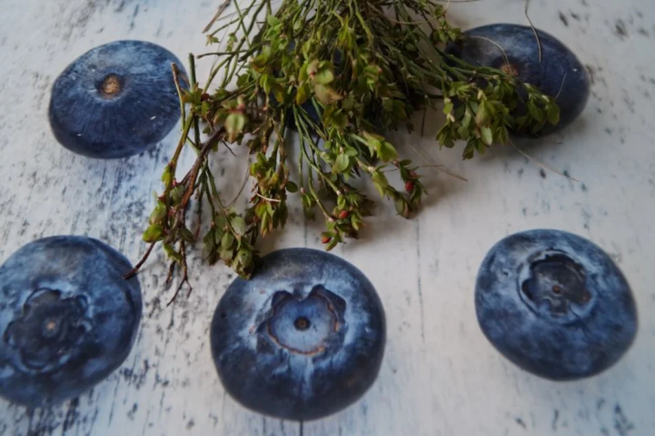 enjoy day - poppy and plum - Imprese #1 | © Marianne Ritzinger 