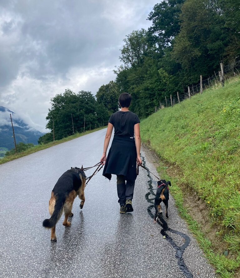 Patricia Stocker - DogsMindset - Impression #2.2