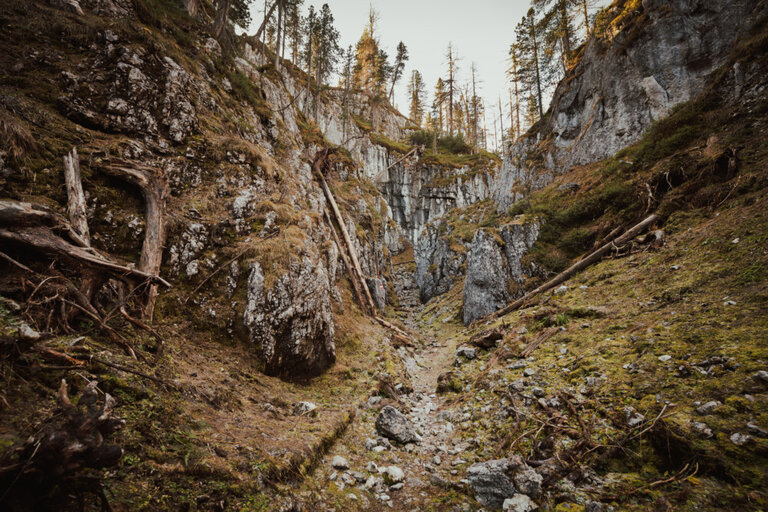 guided tour to the petroglyph - Imprese #2.4 | © Christoph Huber