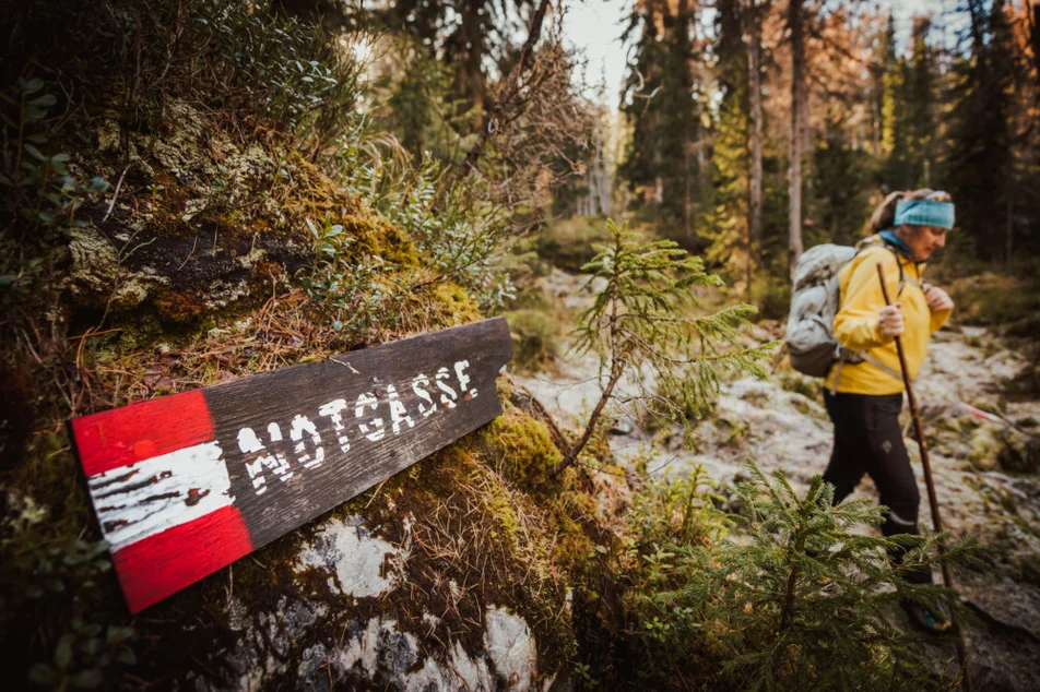 guided tour to the petroglyph - Imprese #1 | © Christoph Huber 