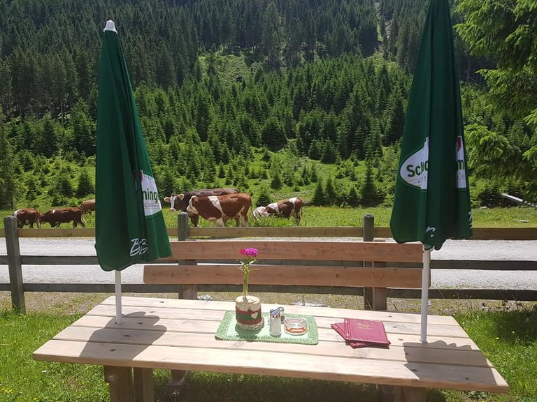 Perneralm - Imprese #2.3 | © Perneralm