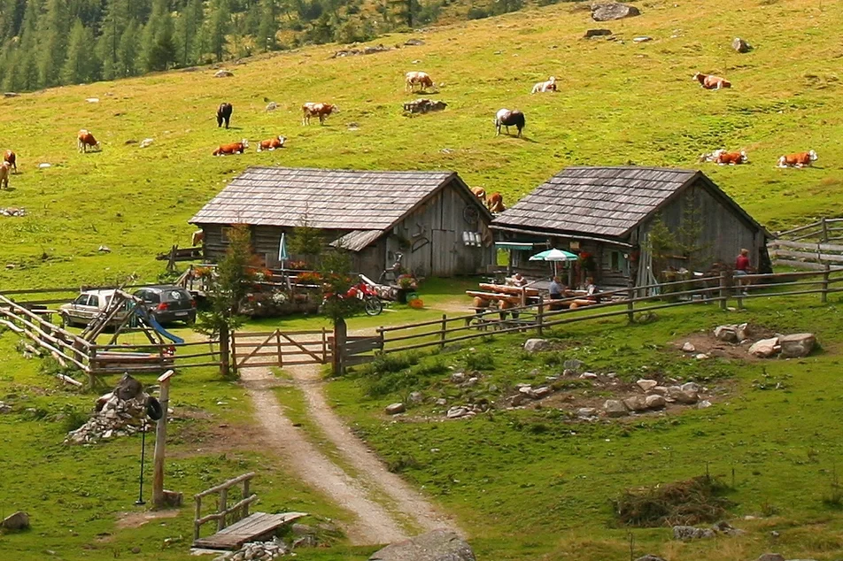 Tagalm  - Impression #1 | © Tagalm 