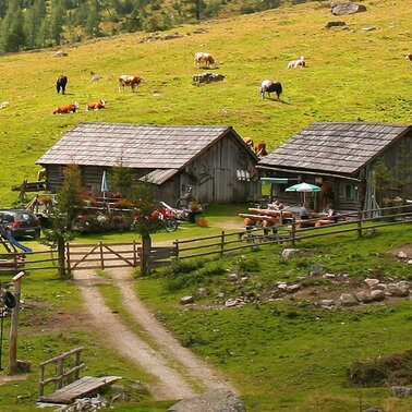 Tagalm  | © Tagalm 