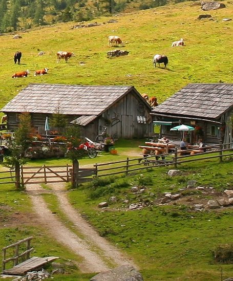 Tagalm  | © Tagalm 