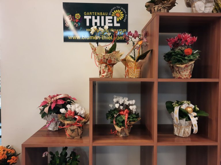 Petrol station - shop - café - Land lebt auf! - Imprese #2.7 | © Tankstelle - Lebensmittelgeschäft - Bistro - Land lebt auf!
