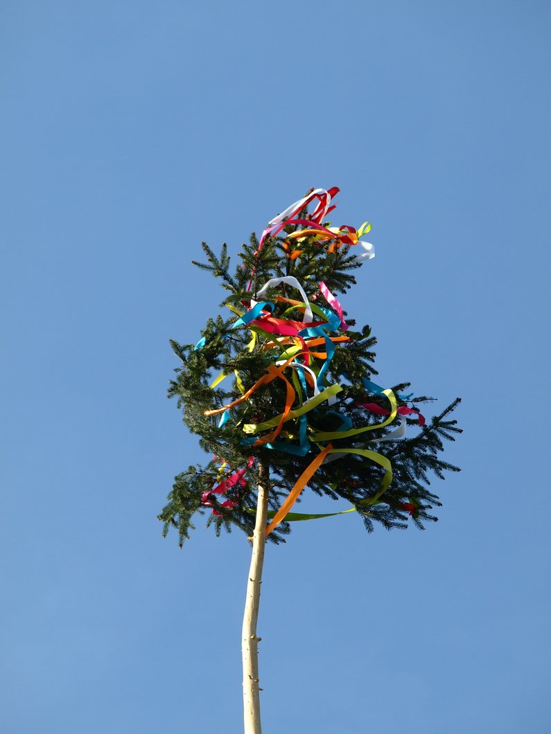 Maibaum_Bild von ariesa66 auf Pixabay | © Symbolfoto