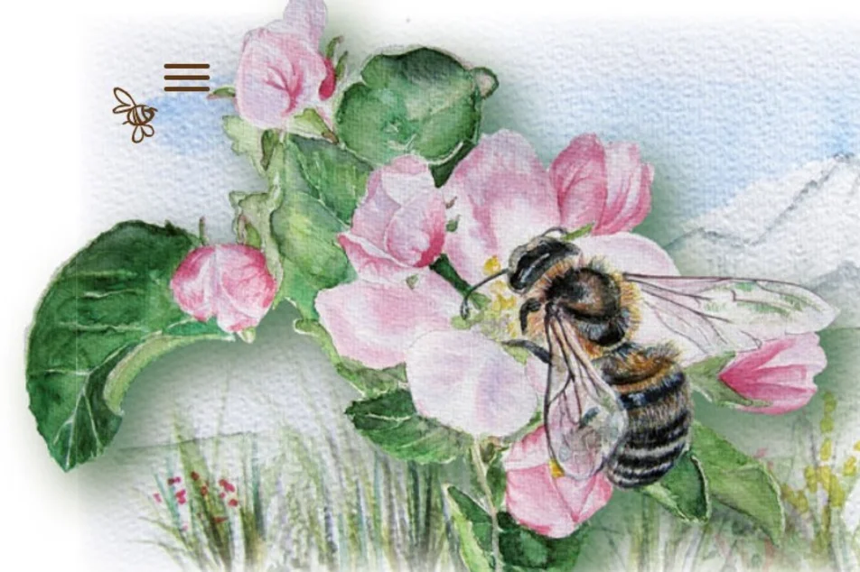 Biene auf Blume | © Imkerei Stockreiter