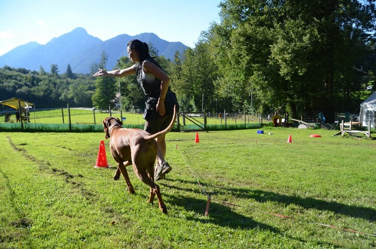 DOGclusion - Frau mit Hund | © DOGclusion
