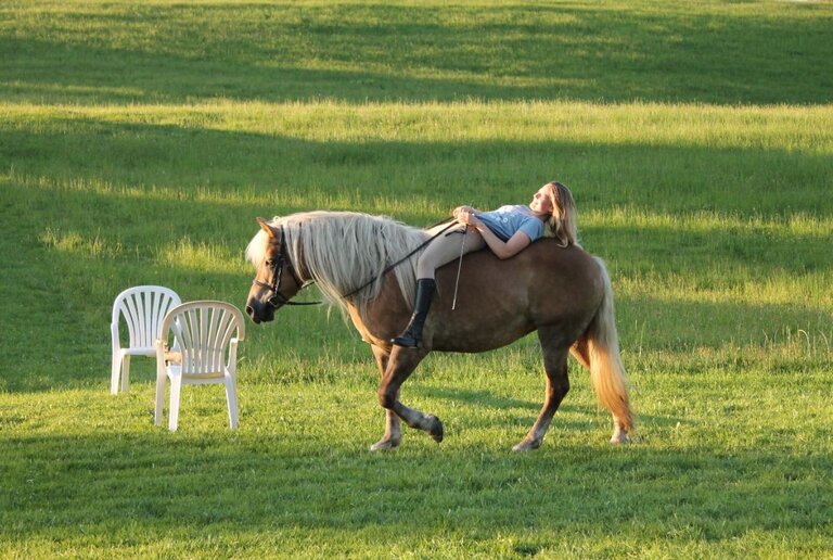 Horse riding at Hirzhof - Imprese #2.1