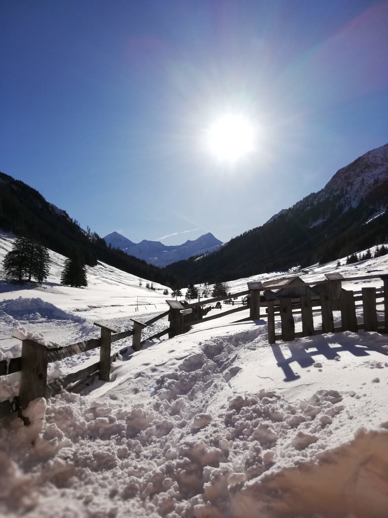 Hansenalm - Impression #2.8