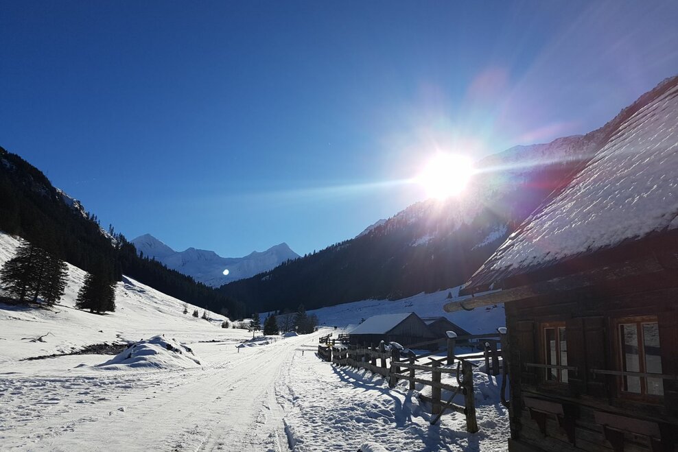 Hansenalm - Impression #1.2