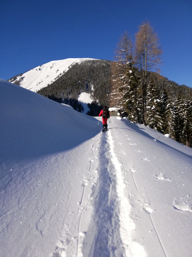 Hansenalm - Impression #2.5