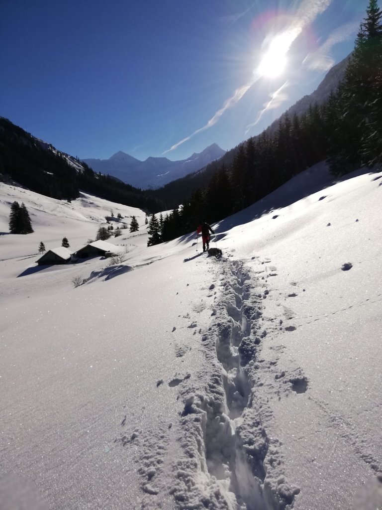 Hansenalm - Impression #2.9