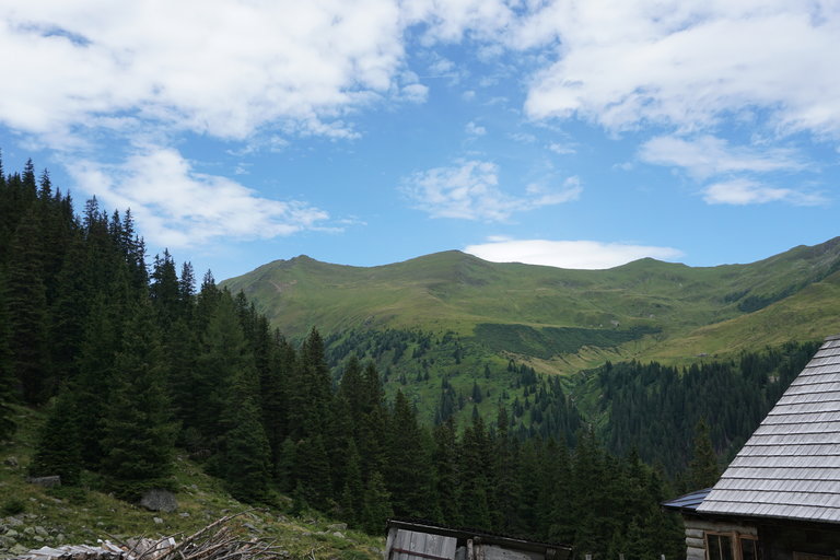 Kaltenbachalm - Impression #2.8 | © Naturpark Sölktäler