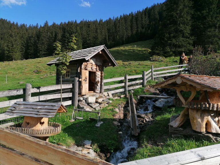 Mautneralm - Impression #2.3 | © Nicole Leitgab