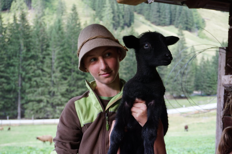 Mautneralm - Impression #2.10