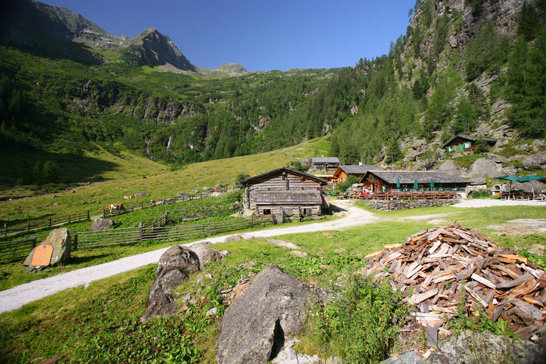 Rund 2 Std. wandert man gemütlich zur Putzentalalm. | © Herbert Raffalt