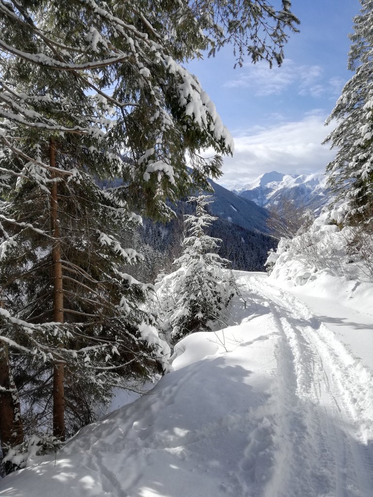 Schönwetterhütte - Impression #2.12
