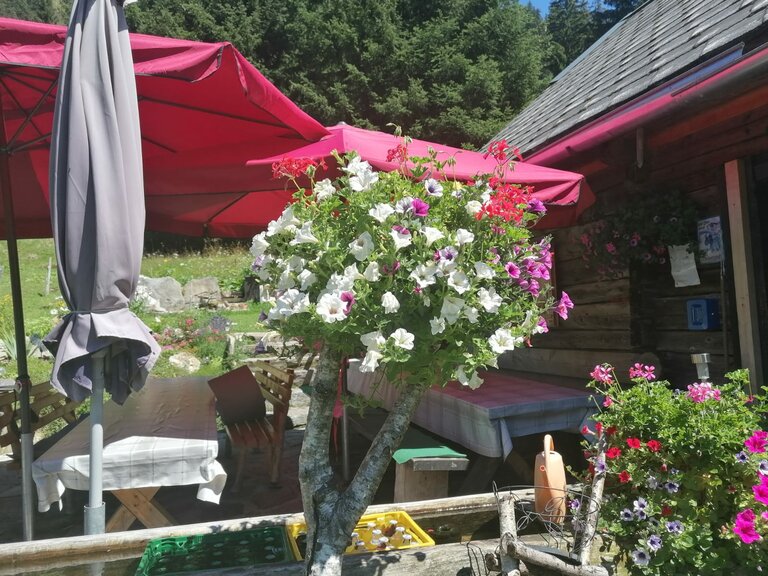 Winkleralm - Impression #2.13 | © Familie Zeiringer