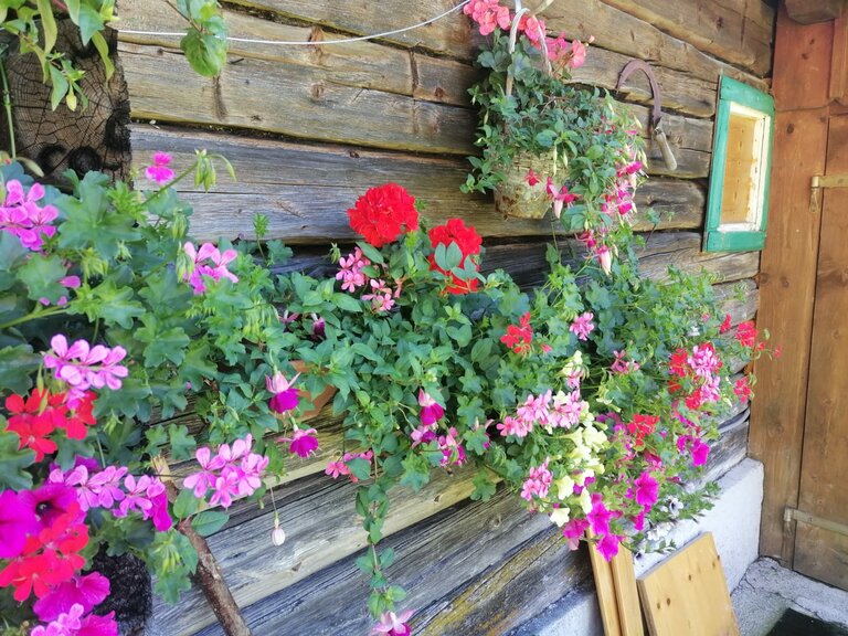 Winkleralm - Impression #2.12 | © Familie Zeiringer
