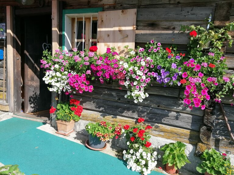 Winkleralm - Impression #2.7 | © Familie Zeiringer