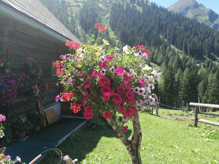 Winkleralm - Impression #2.10 | © Familie Zeiringer