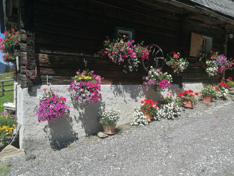 Winkleralm - Impression #2.15 | © Familie Zeiringer