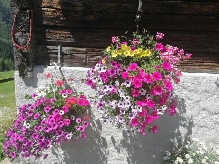 Winkleralm - Impression #2.14 | © Familie Zeiringer