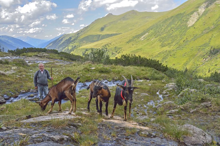 Winkleralm - Impression #2.17 | © Herfried Marek