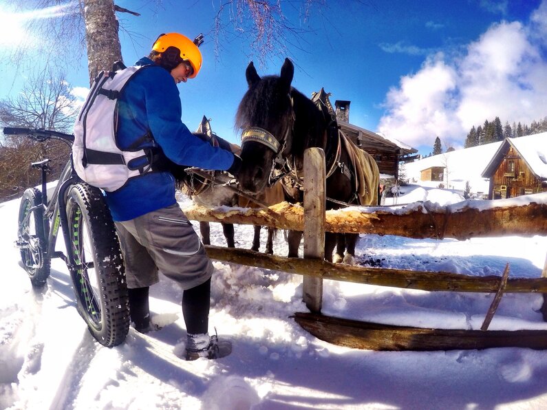 © Alpine Fatbike